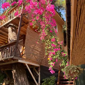 Large With Sea View In Kabak Bay, Oeluedeniz Otel Fethiye